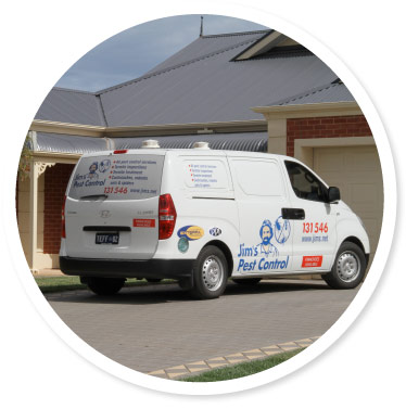 Pest Control Kingston